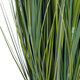 Artificial Garden SACCHARUM 20104 Τεχνητό Διακοσμητικό Φυτό Ζαχαροκάλαμο Υ150cm - 4