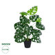 Artificial Garden MONSTERA 20909 Διακοσμητικό Φυτό Μονστέρα Υ75cm