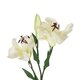 Artificial Garden WHITE LILY BRANCH 21310 Τεχνητό Διακοσμητικό Κλαδί Λευκό Κρίνο Y90cm - 3