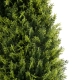 Artificial Garden CYPRESSUS SEMPERVIRENS 20396 Τεχνητό Διακοσμητικό Φυτό Μεσογειακό Κυπαρίσσι Υ180cm - 3