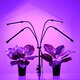 85956 Grow Light Full Spectrum LED Φωτιστικό Ανάπτυξης Φυτών Γλάστρας με 4 Κινούμενες Κεφαλές & Τρίποδο 150cm SMD 2835 80W 160° AC230V IP54 με Dimmer & Timer Εσωτερικού Χώρου για Κάλυψη Επιφάνειας 1m x 1m Πλήρους Φάσματος Φωτισμού - 8