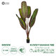 Artificial Garden BLOODY BANANA TREE 20119 Τεχνητό Διακοσμητικό Φυτό Αιματόφυλλη Μπανανιά - Μπανανόδεντρο Υ220cm - 1