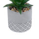 Artificial Garden SUCCULENT ALOE 21096 Διακοσμητικό Φυτό Παχύφυτο Αλόη Υ17cm - 4