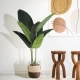Artificial Garden STRELITZIA 20025 Τεχνητό Διακοσμητικό Φυτό  Στρελίτσια - Πουλί του Παραδείσου Υ120cm - 5