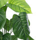 Artificial Garden PHILODENDRON 20910 Διακοσμητικό Φυτό Φυλλόδεντρο Υ75cm - 3