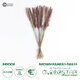 Artificial Garden REAL DRIED BROWN PAMPAS GRASS BUNCH 21215 Αποξηραμένο Διακοσμητικό Μπουκέτο Pampas Kάφε Y50cm - Σετ 14 τμχ - 1