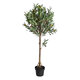 Artificial Garden OLIVE TREE 20052 Τεχνητό Διακοσμητικό Φυτό Ελιά Υ105cm - 2