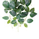 Artificial Garden NERVE HANGING BRANCH 20250 Τεχνητό Διακοσμητικό Κρεμαστό Φυτό Φιτόνια Άμπελος Υ65cm