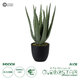 Artificial Garden ALOE 20064 Τεχνητό Διακοσμητικό Φυτό Αλόη Υ38cm