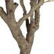 Artificial Garden OLIVE TREE 21112 Τεχνητό Διακοσμητικό Δέντρο Ελιά Υ220cm - 4