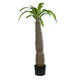 Artificial Garden PACHYPODIUM LAMEREI PALM TREE 20129 Τεχνητό Διακοσμητικό Φυτό Φοίνικας της Μαγαδασκάρης Υ105cm - 2