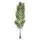 Artificial Garden ALSOPHILA FERN LEAF 20178 Τεχνητό Διακοσμητικό Φύλο Φτέρης Π60 x Υ180cm - 2