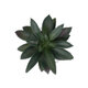 Artificial Garden SUCCULENT ALOE POTTED PLANT 20983 Διακοσμητικό Φυτό Αλόης Φ9 x Υ12cm - 3