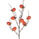 Artificial Garden ORANGE PERSIMMON FRUIT BRANCH 21438 Τεχνητό Διακοσμητικό Πορτοκαλί Κλαδί Λωτός Y83cm - 3