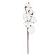 Artificial Garden COTTON BRANCH 20558 Τεχνητό Διακοσμητικό Κλαδί βαμβάκι Υ45cm - 2