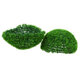 78510 Artificial - Συνθετικό Τεχνητό Διακοσμητικό Φυτό Θάμνος Γρασίδι Πράσινο Φ38cm