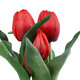 Artificial Garden RED TULIP 21094 Διακοσμητικό Φυτό Κόκκινη Τουλίπα Υ23cm - 3