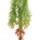 Artificial Garden HANGING BARLEY 20858 Τεχνητό Διακοσμητικό Κρεμαστό Φυτό Κριθάρι Μ26 x Π15 x Υ81cm