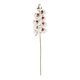 Artificial Garden WHITE ORCHID BRANCH 21406 Τεχνητό Διακοσμητικό Κλαδί Λευκή Ορχιδέα Y95cm - 2
