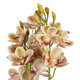 Artificial Garden CHAMPAGNE CHERRY CYMBIDIUM 21404 Διακοσμητικό Φυτό Σαμπανιζέ Κυμβίδιο Υ60cm - 3
