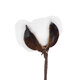 Artificial Garden COTTON BRANCH 20493 Τεχνητό Διακοσμητικό Κλαδί βαμβάκι Υ40cm - 3