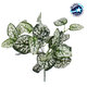 POLKA DOT PLANT 78259 Τεχνητό Φυτό Πόλκα - Μπουκέτο Διακοσμητικών Φυτών - Κλαδιών με Φύλλωμα Πράσινο - Λευκό Υ33cm
