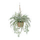 Artificial Garden CHLOROPHYTUM COMOSUM HANGING PLANT 20638 Τεχνητό Κρεμαστό Διακοσμητικό Χλωρόφυτο  Y50cm