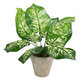 Artificial Garden DIEFFENBACHIA POTTED PLANT 20897 Διακοσμητικό Φυτό Διεφενμπάχια Φ40 x Υ33cm - 2