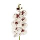 Artificial Garden WHITE ORCHID BRANCH 21406 Τεχνητό Διακοσμητικό Κλαδί Λευκή Ορχιδέα Y95cm - 3