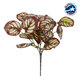 RED PEPEROMIA 78297 Τεχνητό Φυτό Πεπερόμια Κοκκ. - Μπουκέτο Διακοσμητικών Φυτών - Κλαδιών με Φύλλωμα Κόκκινο - Λευκό Υ30cm