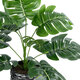 Artificial Garden MONSTERA 20893 Τεχνητό Διακοσμητικό Φυτό Μονστέρα Φ40 x Υ33cm - 3
