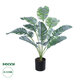 Artificial Garden BANANA ZEBRA 20930 Διακοσμητικό Φυτό Μπανανιά Ζέβρα Υ55cm - 1