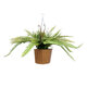Artificial Garden FERN HANGING BOUQUET PLANT 20629 Τεχνητό Κρεμαστό Διακοσμητικό Φυτό Φτέρης  Y65cm