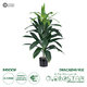 Artificial Garden DRACAENA SILK 20042 Τεχνητό Διακοσμητικό Φυτό Δράκαινα Υ90cm - 1