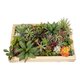 Artificial Garden VARIOUS PLANT 20642 Τεχνητό Διακοσμητικό Φυλλωσιάς σε Ξύλινο Πάνελ  - Κάθετος Κήπος Μιξ Μ60 x Π60 x Υ20cm - 4