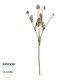 Artificial Garden POPPY FRUIT BRANCH 21433 Τεχνητό Διακοσμητικό Κλαδί Παπαρούνα Y60cm