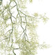 Artificial Garden EUCALYPTUS HANGING BRANCH 20412 Τεχνητό Διακοσμητικό Κρεμαστό Φυτό Ευκάλυπτος Υ90cm