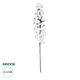 Artificial Garden COTTON BRANCH 20559 Τεχνητό Διακοσμητικό Κλαδί βαμβάκι Y55cm