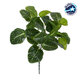 NERVE PLANT 78300 Τεχνητό Φυτό Φιτόνια - Μπουκέτο Διακοσμητικών Φυτών - Κλαδιών με Φύλλωμα Πράσινο Υ32cm - 1
