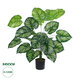 Artificial Garden CALATHEA 20922 Διακοσμητικό Φυτό Καλαθέα Υ80cm