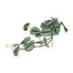 Artificial Garden HANGING ALOCASIA 20601 Τεχνητό Διακοσμητικό Κρεμαστό Φυτό Αλοκάσια Μ28 x Π27 x Υ50cm