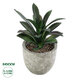 Artificial Garden SUCCULENT ALOE 21011 Διακοσμητικό Φυτό Παχύφυτο Αλόη Υ13cm