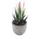 Artificial Garden SUCCULENT ALOE 21008 Διακοσμητικό Φυτό Παχύφυτο Αλόη Υ14cm - 2
