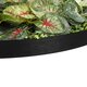 Artificial Garden VARIOUS PLANTS ROUND WALL DISC 20690 Τεχνητό Διακοσμητικό Στρογγυλό Πάνελ Φυλλωσιάς - Κάθετος Κήπος Μιξ Μ80 x Π80 x Υ20cm - 7