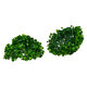 78501 Artificial - Συνθετικό Τεχνητό Διακοσμητικό Φυτό Θάμνος Πυξάρι Πράσινο Φ18cm