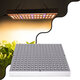 85955 Grow Light Panel Hydro Full Spectrum LED Φωτιστικό Ανάπτυξης Φυτών Υδροπονικού Θερμοκηπίου SMD 2835 100W 160° AC230V IP54 Εσωτερικού Χώρου για Κάλυψη Επιφάνειας 1m x 1m Πλήρους Φάσματος Φωτισμού