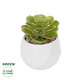 Artificial Garden SUCCULENT ECHEVERIA POTTED PLANT 20991 Διακοσμητικό Φυτό Εχεβέρια Φ6 x Υ8,5cm - 1