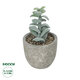 Artificial Garden SUCCULENT SEDEVERIA POTTED PLANT 21027 Διακοσμητικό Φυτό Σεδεβέρια  Φ5 x Υ11cm - 1