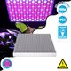 85954 Grow Light Panel Full Spectrum LED Φωτιστικό Ανάπτυξης Φυτών Θερμοκηπίου SMD 2835 100W 160° AC230V IP54 Εσωτερικού Χώρου για Κάλυψη Επιφάνειας 1m x 1m Πλήρους Φάσματος Φωτισμού - 1