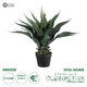Artificial Garden SISAL AGAVE 20080 Τεχνητό Διακοσμητικό Φυτό Αγαύη Υ60cm